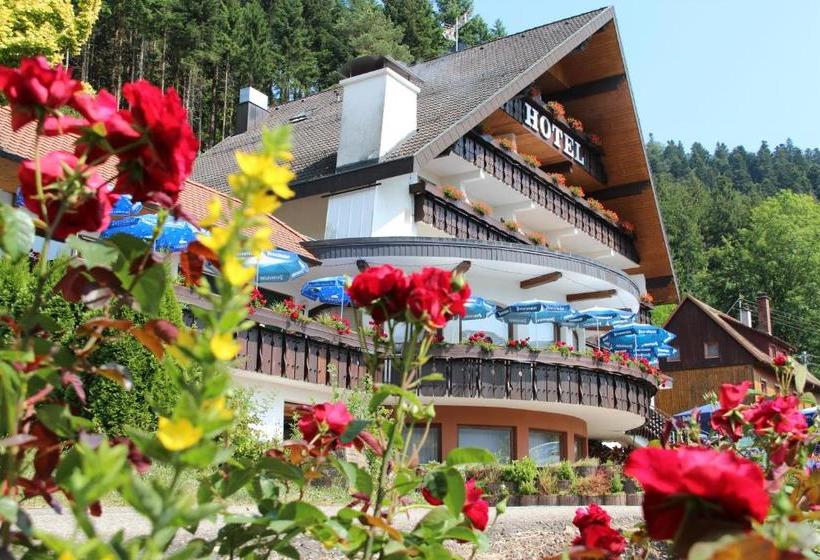 Отель Winterhaldenhof