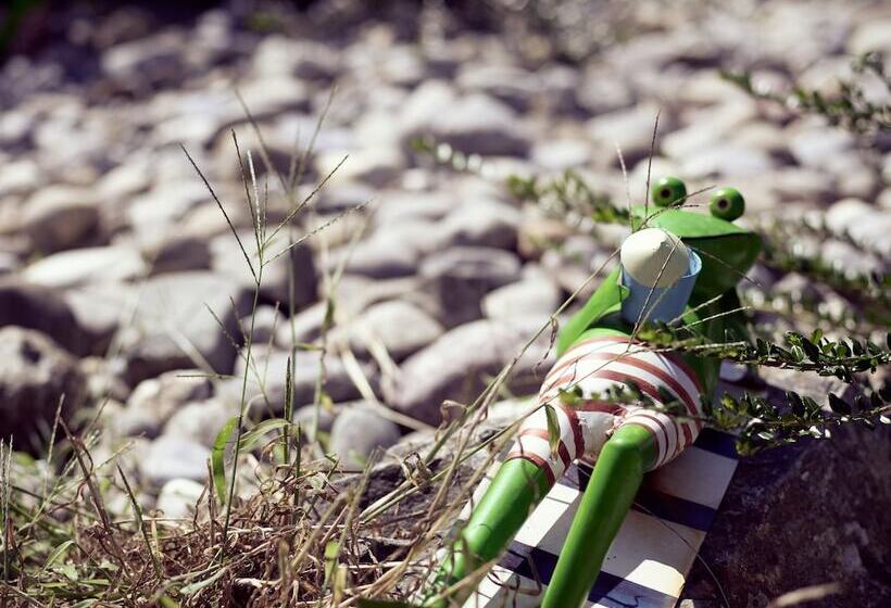 פנסיון Gasthaus Schiff