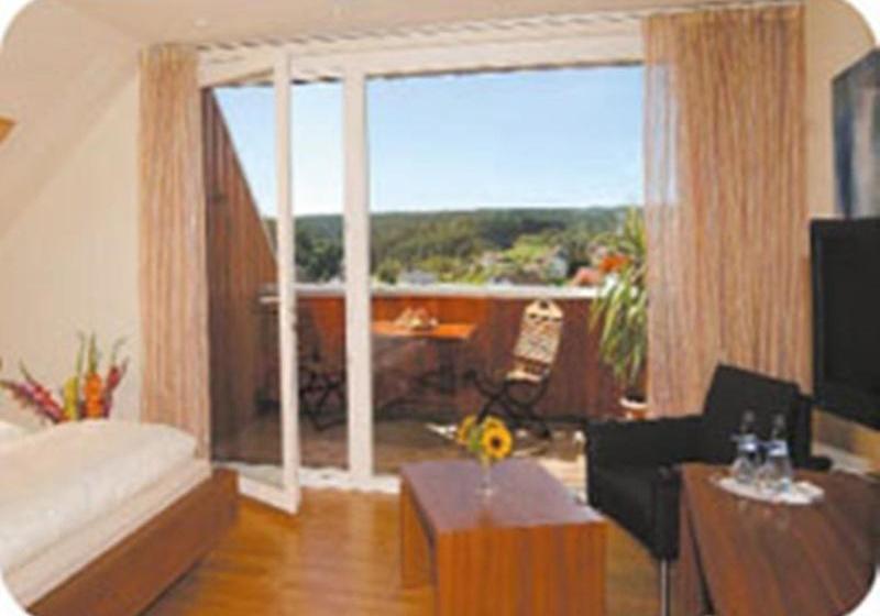 膳宿费 Landgasthof  Löwen