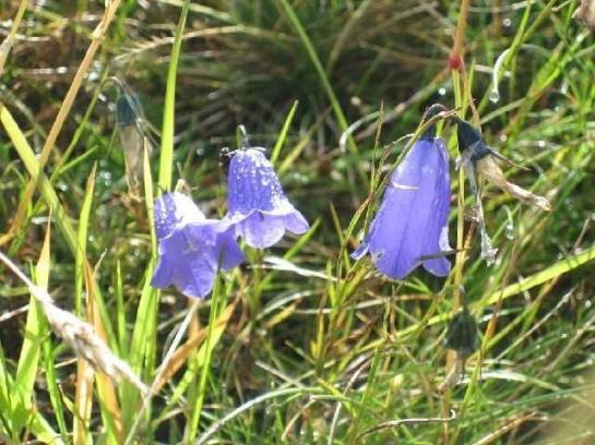 فندق Gasthof Eberleiten - Jugend - & Aktiv