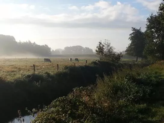 Auehof Hotel & Restaurant