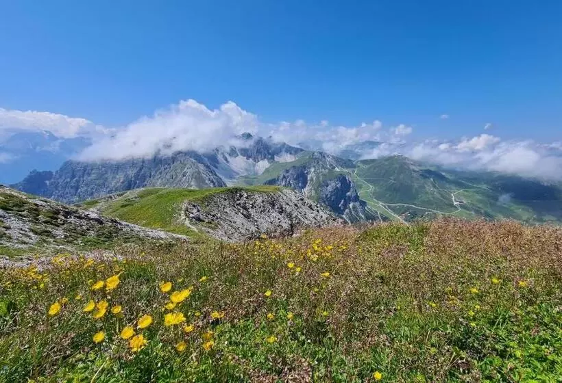 Bed and Breakfast Gästehaus Landhaus Tyrol