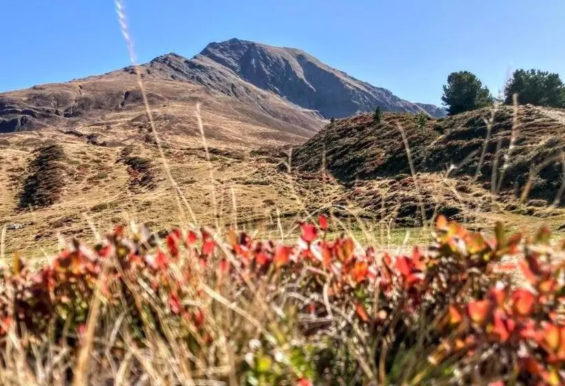 Bed and Breakfast Gästehaus Landhaus Tyrol
