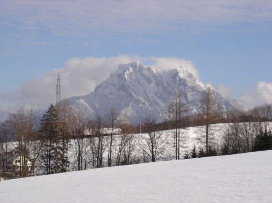 Bauernhof Obere Wolfsgrub