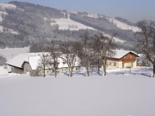 Bauernhof Obere Wolfsgrub