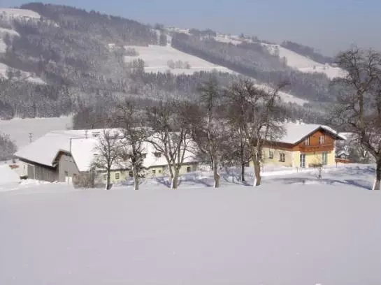 Bauernhof Obere Wolfsgrub