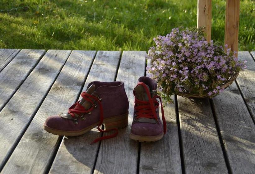 酒店 Fehrenbacherhof Naturgästehaus