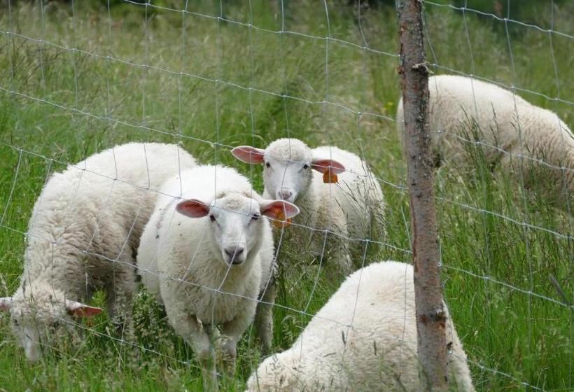 Hotel Geovita Wisła