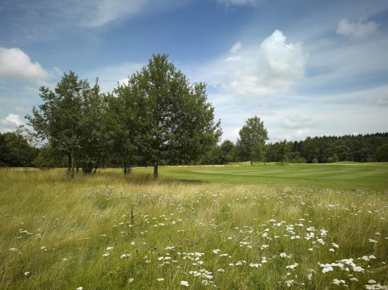 Golfresort Waidhofen