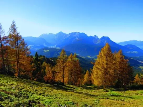 Bed and Breakfast Hochduerrnberg Pension