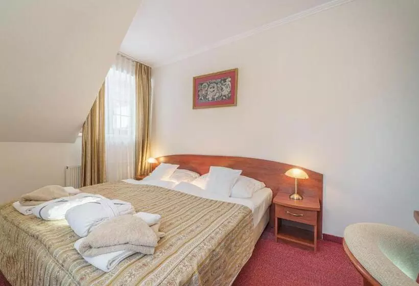 酒店 Le Mont Medical & Spa