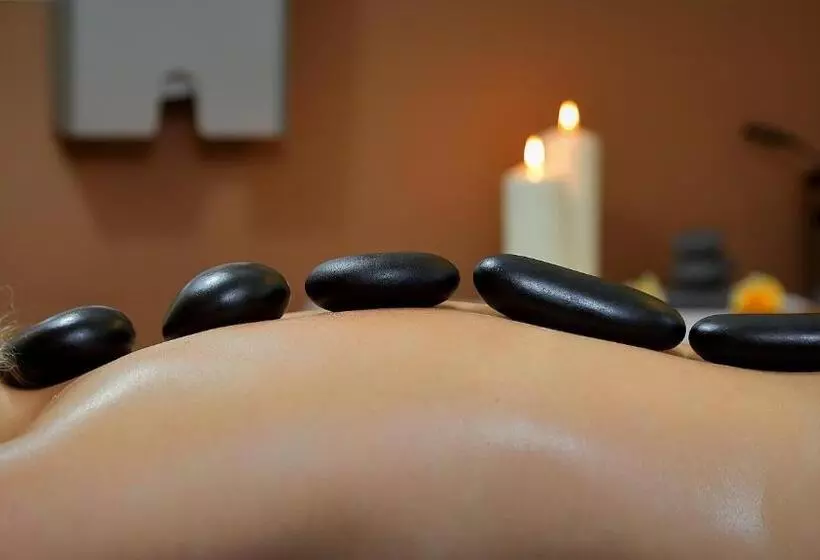 酒店 Le Mont Medical & Spa