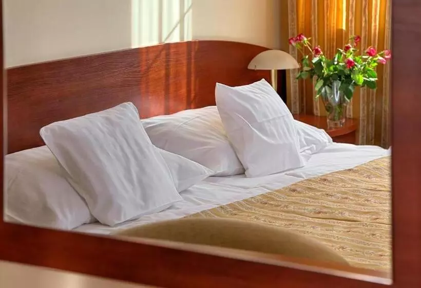 酒店 Le Mont Medical & Spa