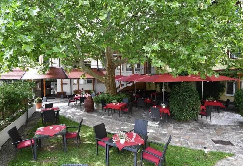 Hotel Payerbacherhof