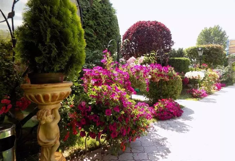 酒店 Pensjonat Angela