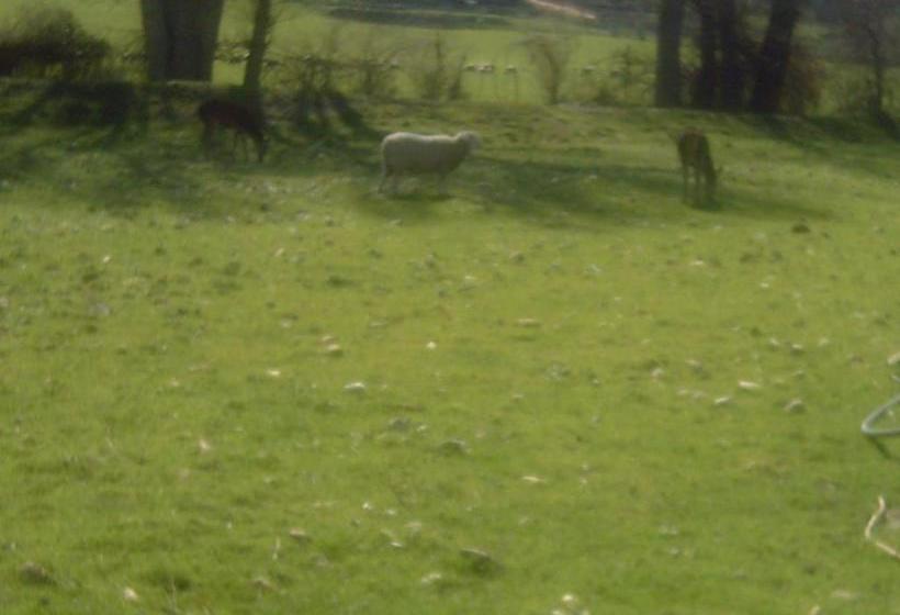 فندق ريفى Hostal Rural Venta La Vega