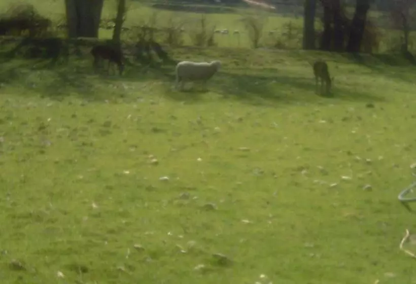 교외 호텔 Hostal Rural Venta La Vega