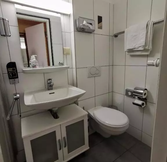 בית מלון כפרי Zum Winzermännle