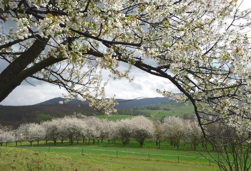 Dorf Gut Hotel Zur Warte