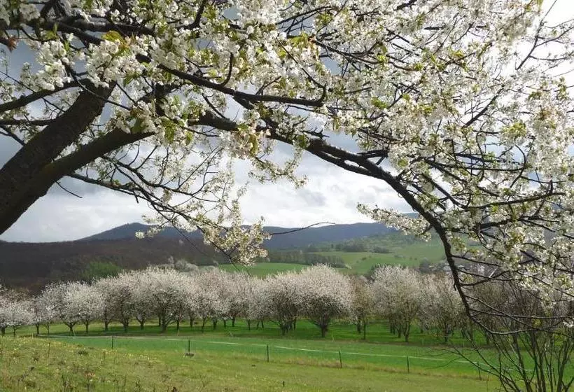 Dorf Gut Hotel Zur Warte