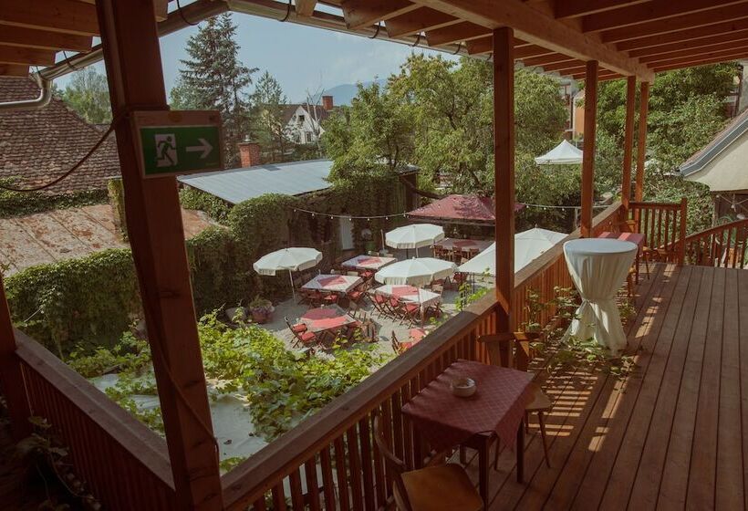 펜션 Gasthof Eberhard   Hof, Wirtshaus & Herberge