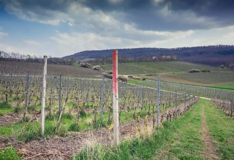 Пансион Landhotel Und Weingasthof Schwarzer Adler