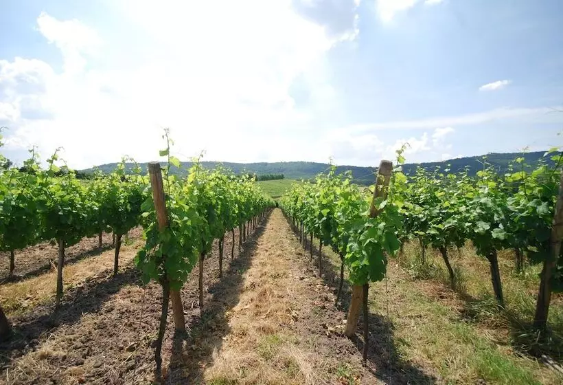 Пансион Landhotel Und Weingasthof Schwarzer Adler
