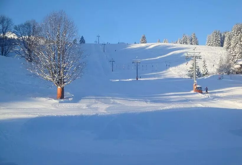 Hotelli Garni Mittenwald