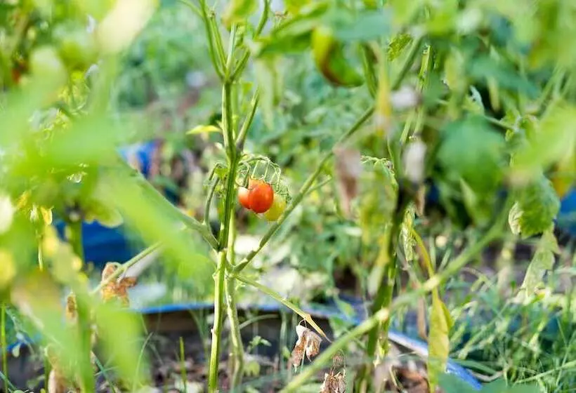 Palamutbükü Deniz Apart Otel