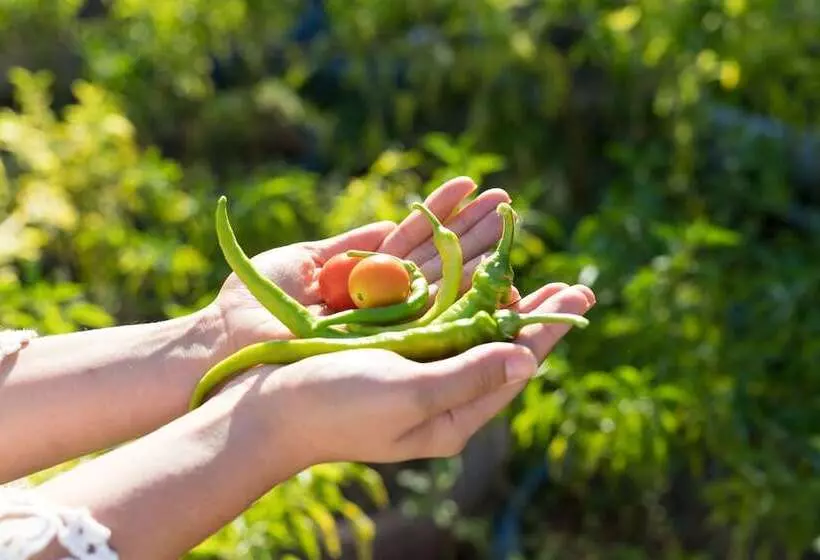 Palamutbükü Deniz Apart Otel