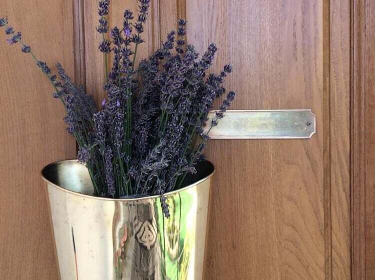 بنسيون Margarita