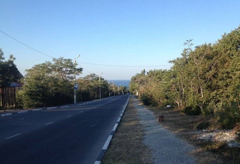 بنسيون Margarita