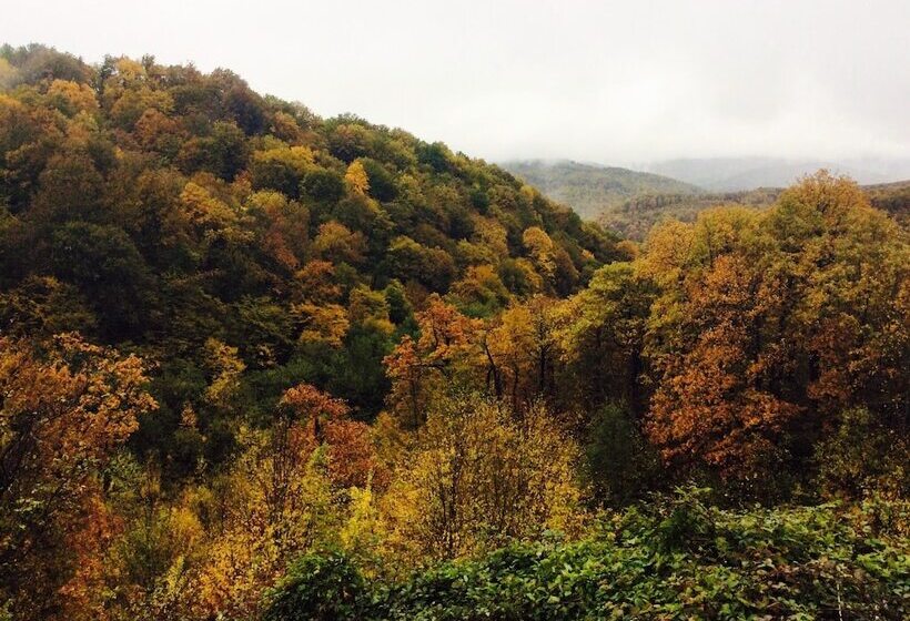 بنسيون Margarita