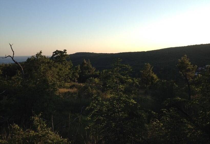 بنسيون Margarita