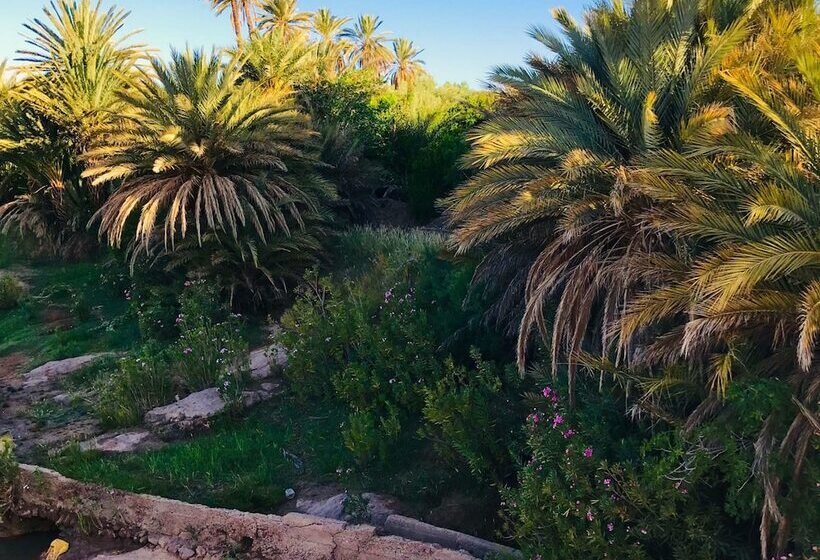 住宿加早餐  Kasbah El Mehdaoui