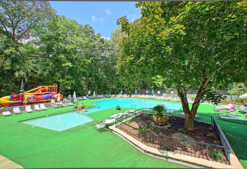 Emerald City Lights #203