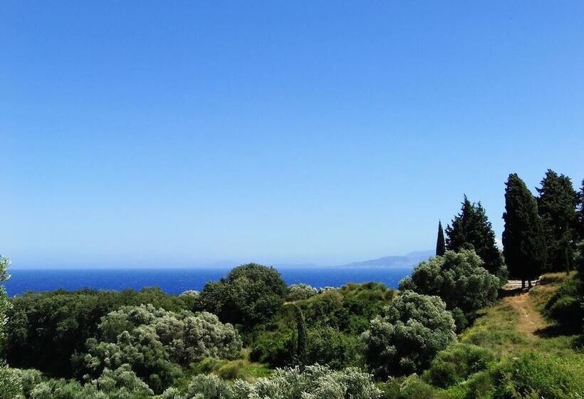 هتل Amazona Apartments And Studios