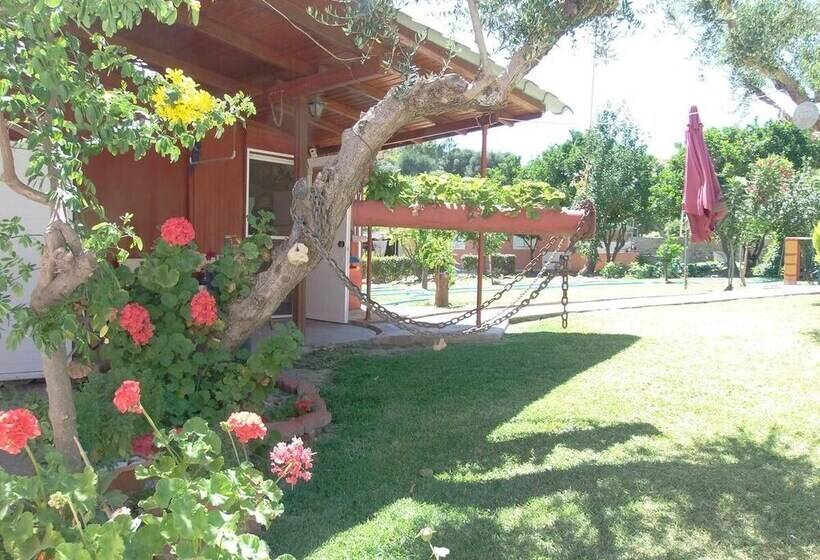 هتل Amazona Apartments And Studios