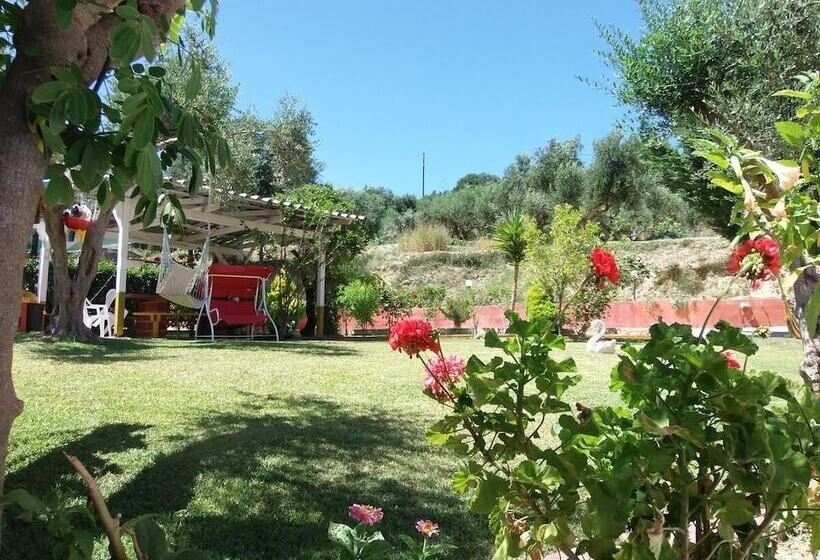 هتل Amazona Apartments And Studios