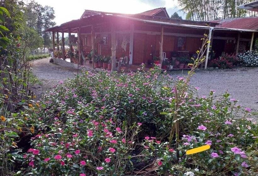 בית מלון כפרי Cabanas Y Camping Colinas De San Diego