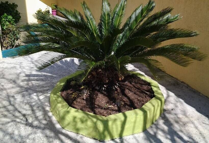 酒店 Harmony House