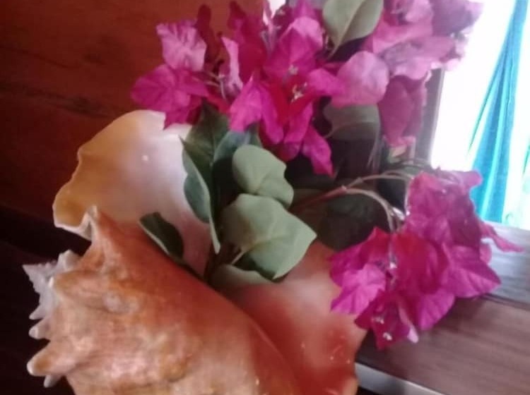 Hotel Ito Villas Holbox