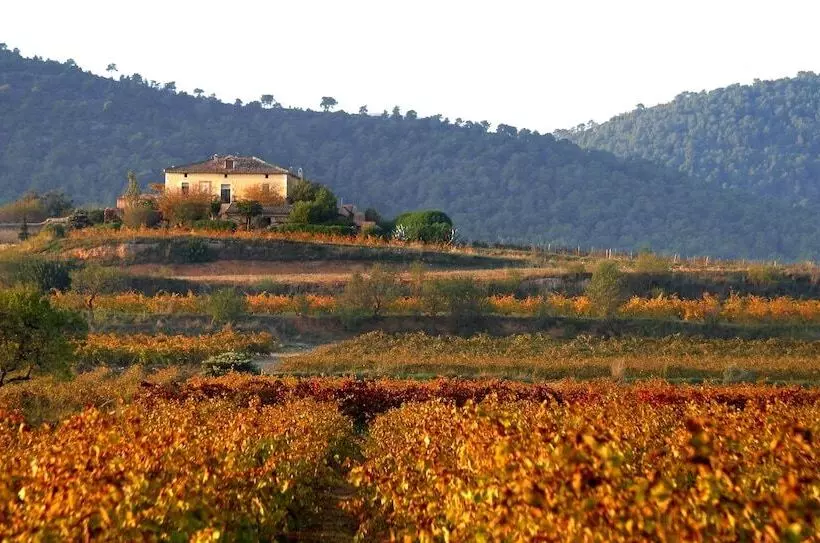 هتل Mas Castell De Gimenelles
