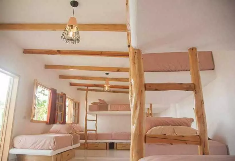 هتل Sababa Resort