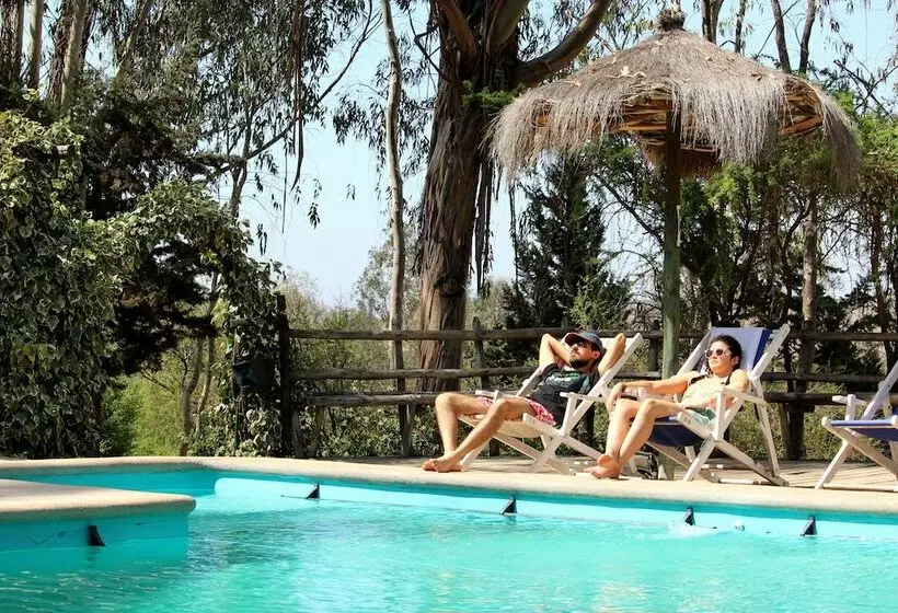 ホテル & Spa Colinas De Cuncumen