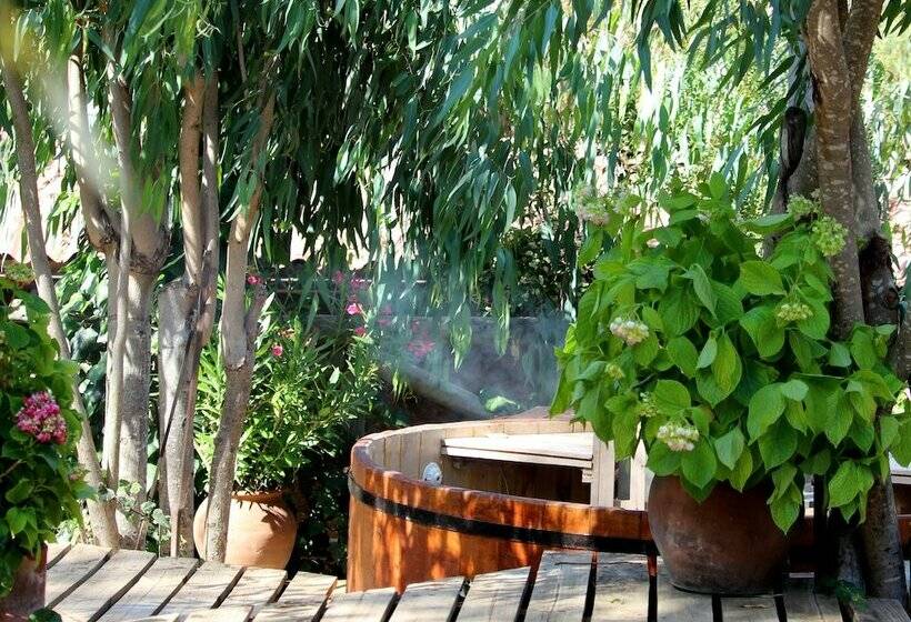 فندق & Spa Colinas De Cuncumen