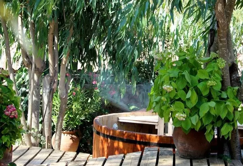 ホテル & Spa Colinas De Cuncumen