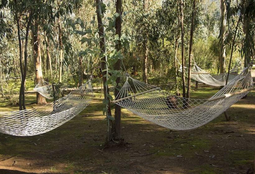 فندق & Spa Colinas De Cuncumen