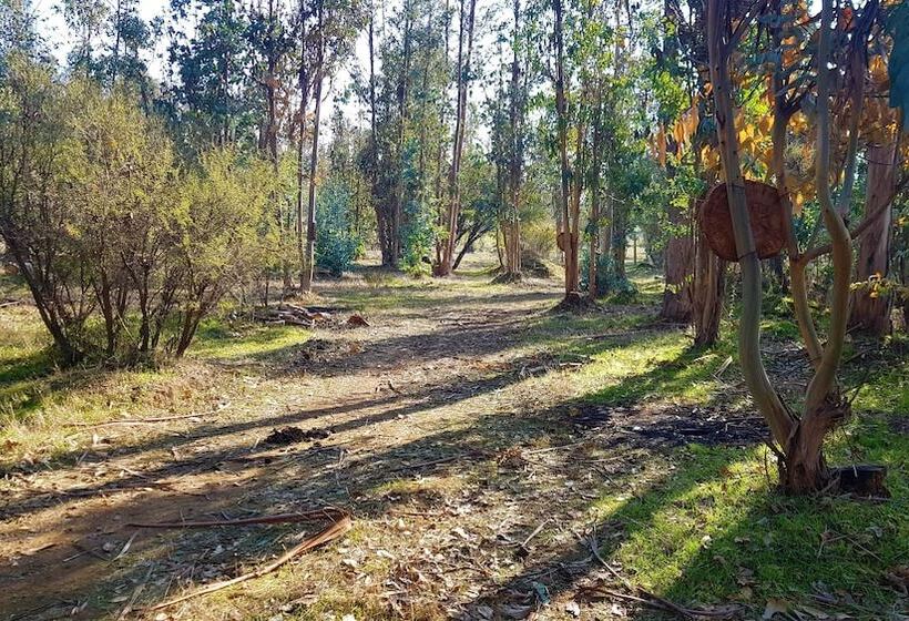 فندق & Spa Colinas De Cuncumen