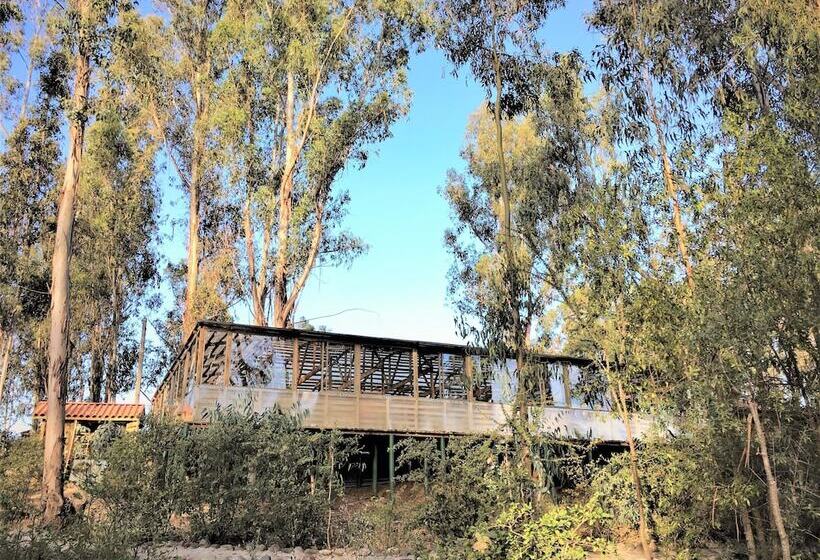 فندق & Spa Colinas De Cuncumen